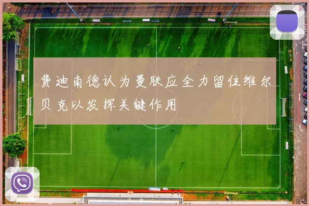 费迪南德认为曼联应全力留住维尔贝克以发挥关键作用